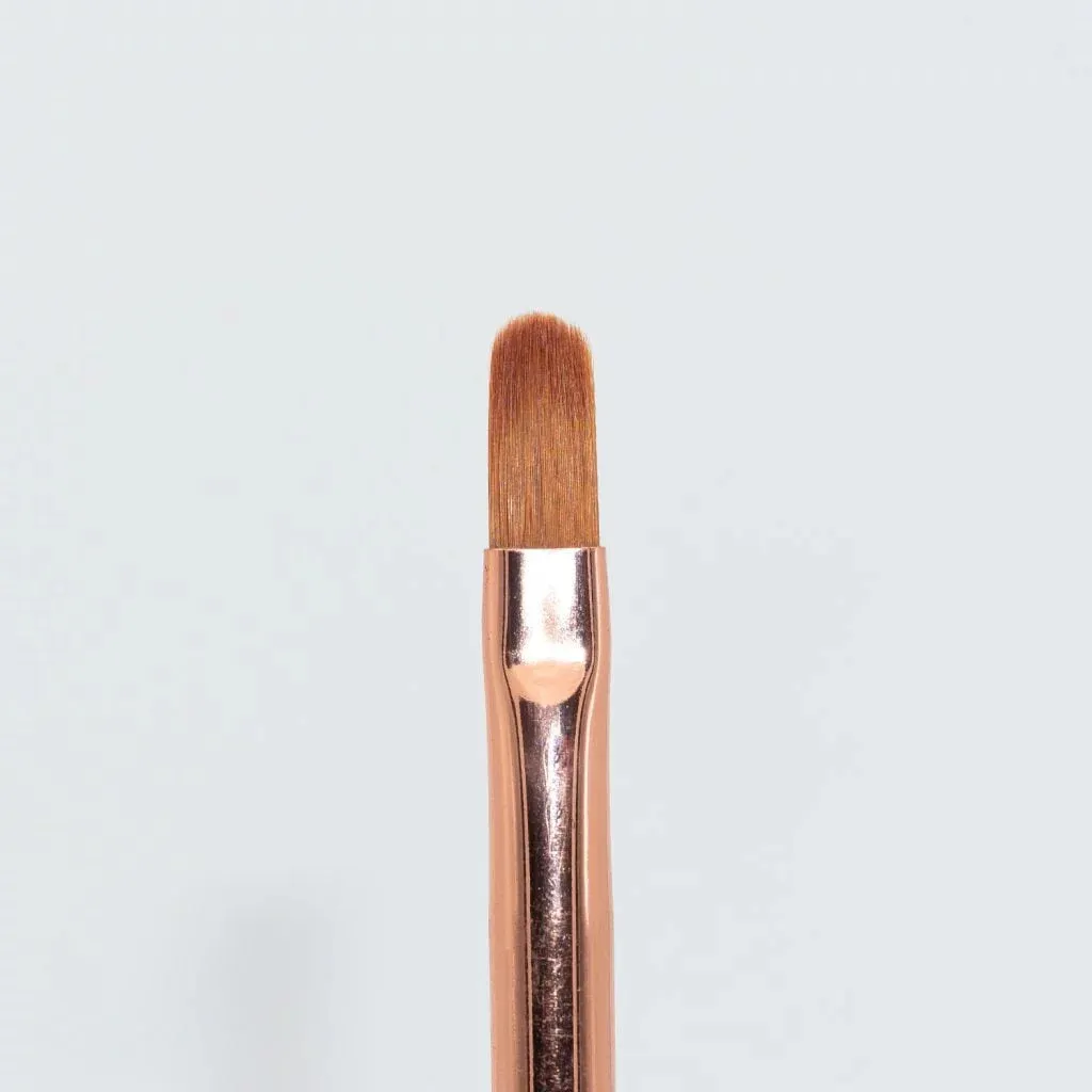 Gel Brush 6 by Somfis